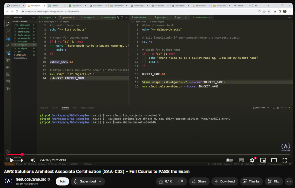 freecodecamp video example